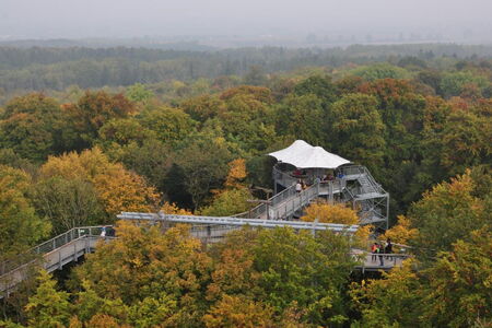 Baumkronenpfad Hainich
