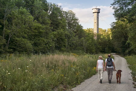 Ein Wanderpaar mit Hund auf dem Weg zum Heldrastein mit Turm der Einheit.